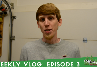 Weekly Vlog : Episode 3